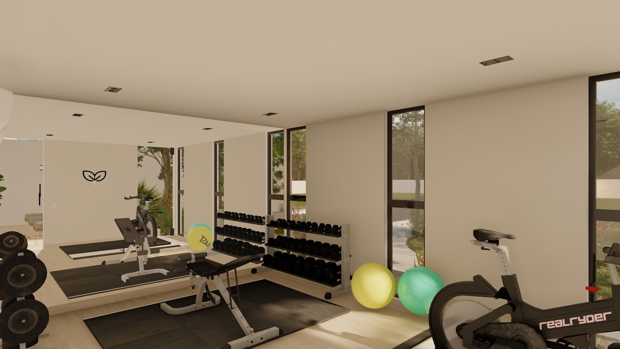 Gimnasio