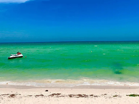 Playa de Chicxulub Puerto